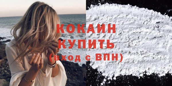 PSILOCYBIN Аркадак