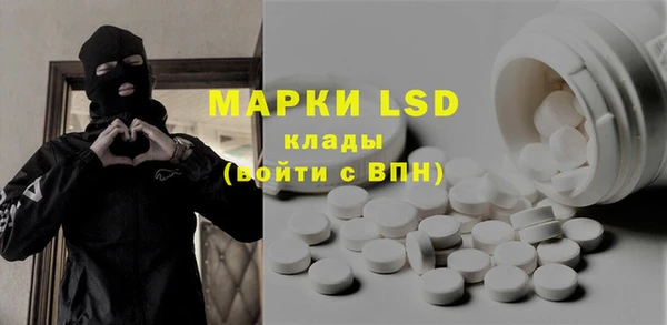 PSILOCYBIN Аркадак