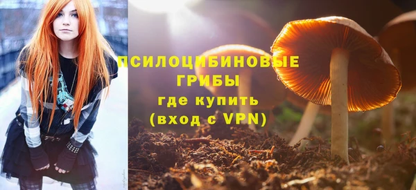 амф Балахна