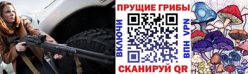 omg рабочий сайт  Тейково  Псилоцибиновые грибы Psilocybe 
